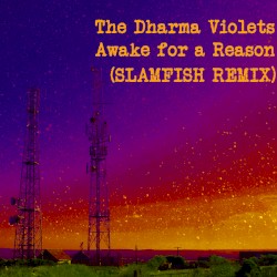 Awake for a Reason (Slamfish Remix)