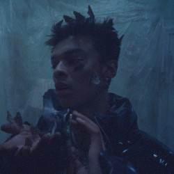 isaac’s insects