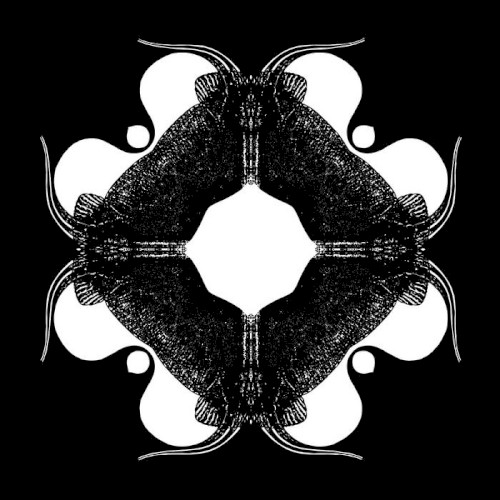 New State of Consciousness