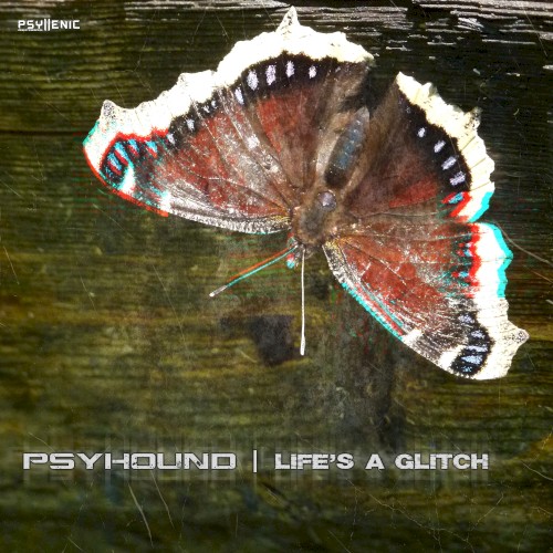 Life's a Glitch