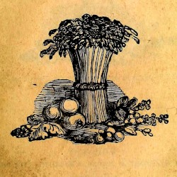 Vegetarianism: The Story So Far #12, “Radicals & Romantics"