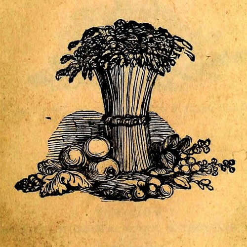 Vegetarianism: The Story So Far #12, “Radicals & Romantics"