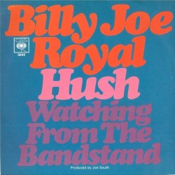 Hush / Watching From the Bandstand