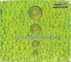 Remix Trax Vol. 13 - Essential Jungle