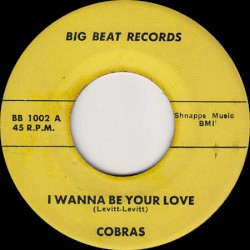 I Wanna Be Your Love