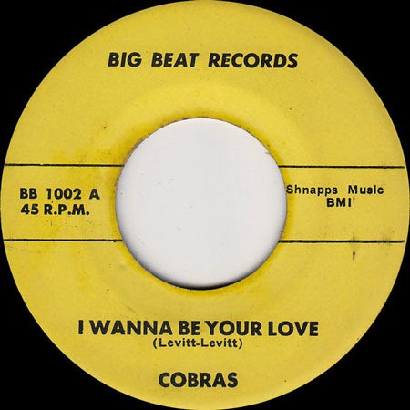 I Wanna Be Your Love