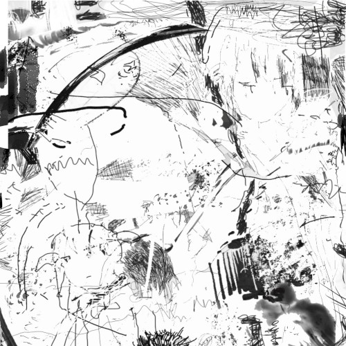 во время стирания(de kooning)