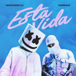 Esta vida