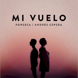 Mi vuelo