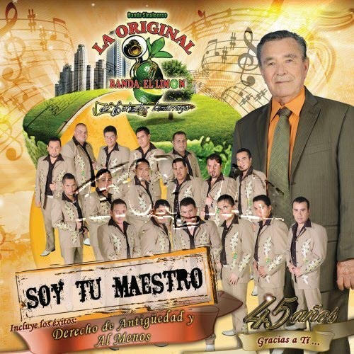 Soy tu maestro