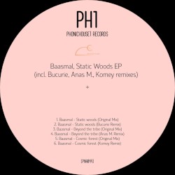 Static Woods EP