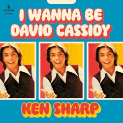 I Wanna Be David Cassidy