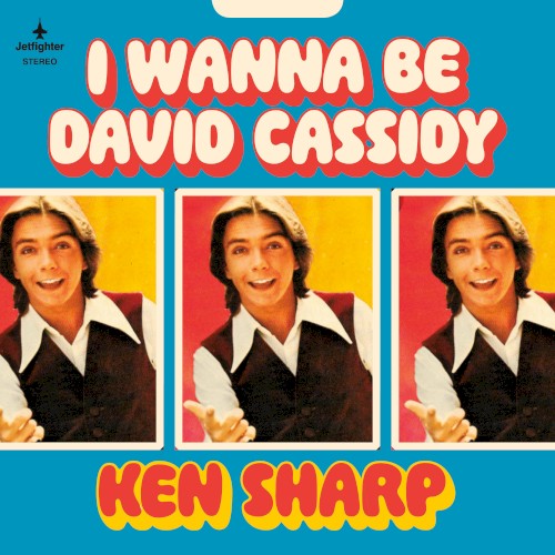 I Wanna Be David Cassidy