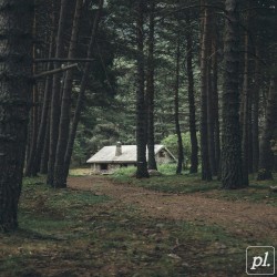 Missing Home