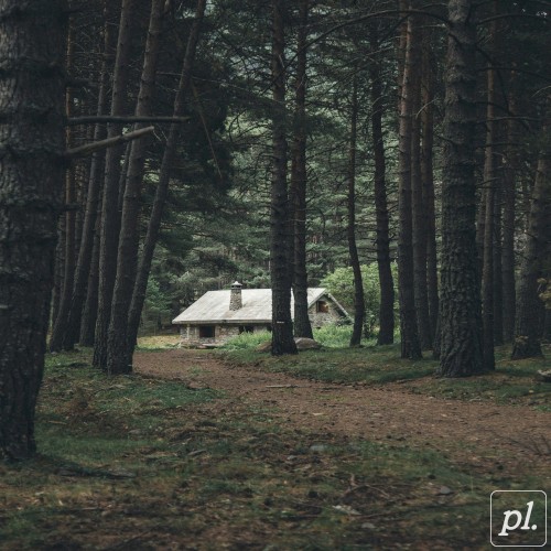 Missing Home