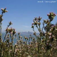 Among Plants