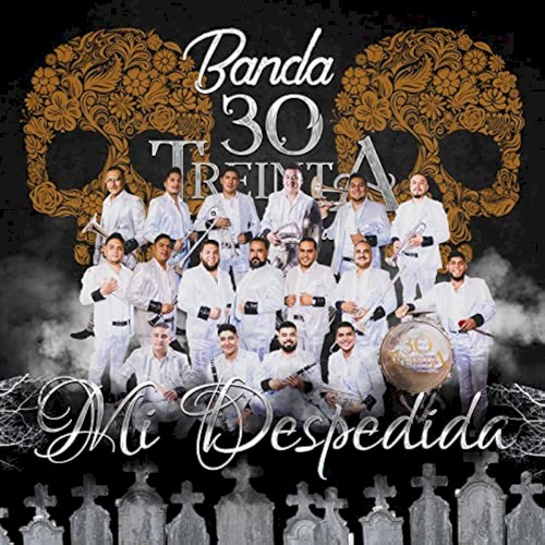 Mi despedida