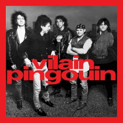 Vilain Pingouin