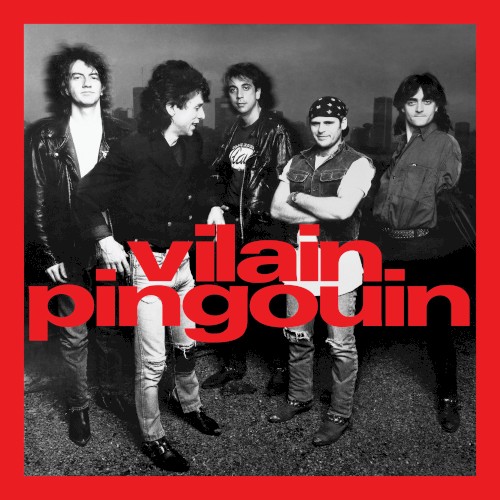 Vilain Pingouin