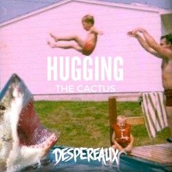 Hugging the Cactus
