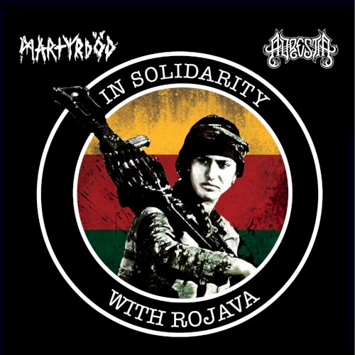 In Solidarity With Rojava