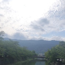 中心の点 the central point