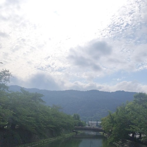 中心の点 the central point