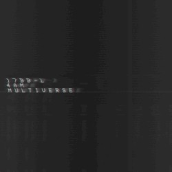 M U L T I V E R S E