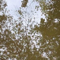 The Decay of the Self