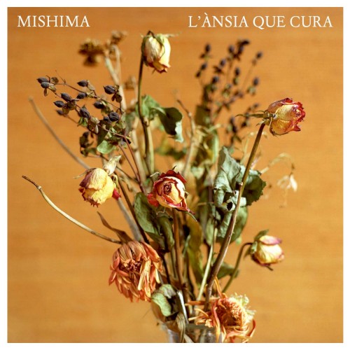 L'ànsia que cura