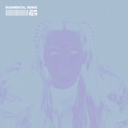 The Days (Rudimental remix)