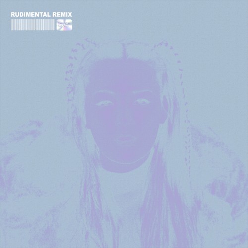 The Days (Rudimental remix)