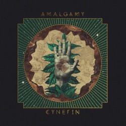 Cynefin