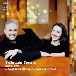 Yuletide Treats