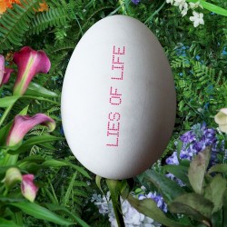 Lies of Life