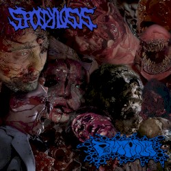 Spondylosys / Butane