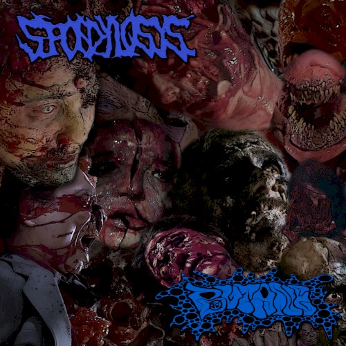 Spondylosys / Butane