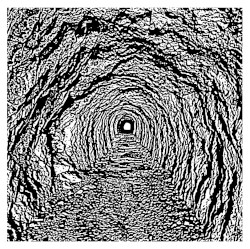 Hidden Promulgation