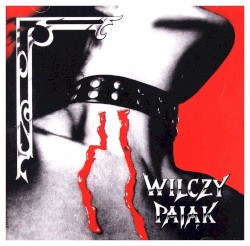 Wilczy Pająk