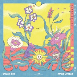 Wild Orchid
