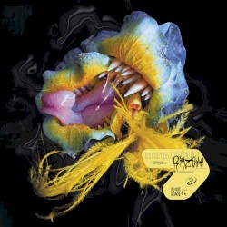 Rhizome