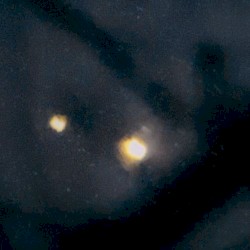 Saturday Bacon