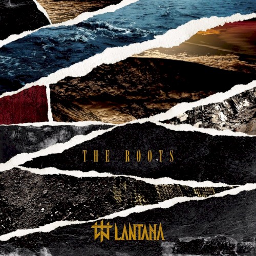 THE ROOTS