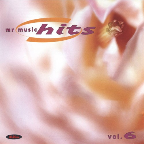 Mr Music Hits 6. 1999