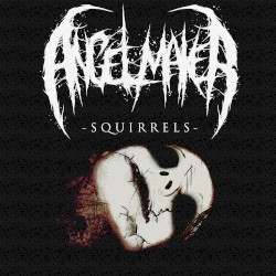 SQUIRRELS