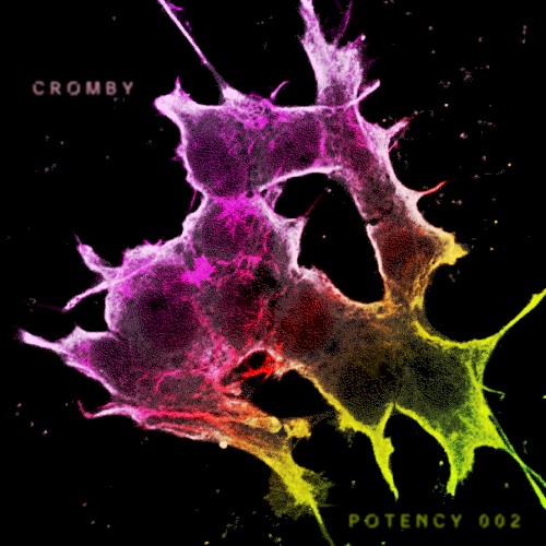 Potency002