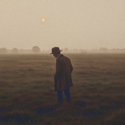 The Fields