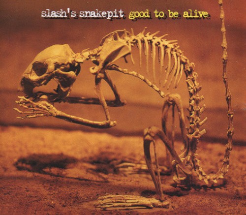 Good to Be Alive
