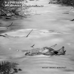 My Skinny Wonderland - What Went Wrong?