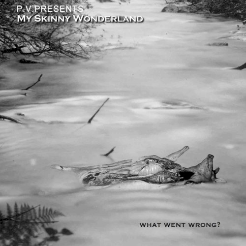 My Skinny Wonderland - What Went Wrong?
